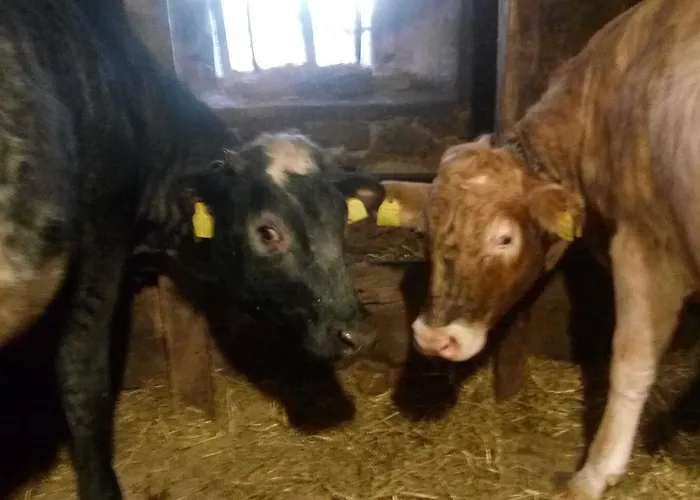 Agriturismo Belvedere * Pavullo nel Frignano