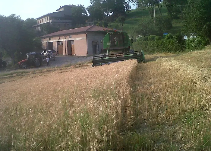 Agriturismo Belvedere