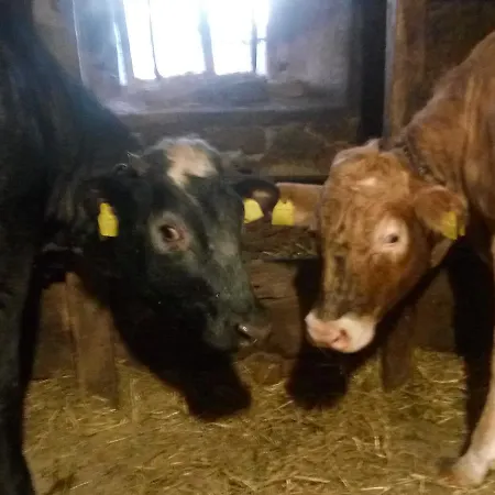 Agriturismo Belvedere * Pavullo nel Frignano