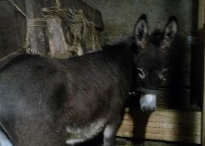 Agriturismo Belvedere Hotel Pavullo nel Frignano